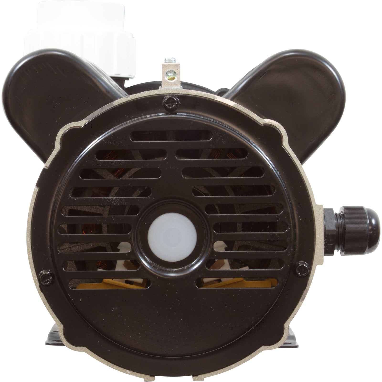 LX Spa Jet Pump, 2HP, 230V, 2-Speed, 48 Frame, 2" Inlet & Discharge